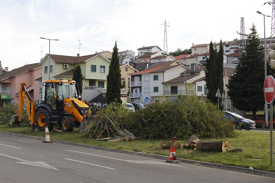 Corte de árvores para construção de rotunda gera controvérsia