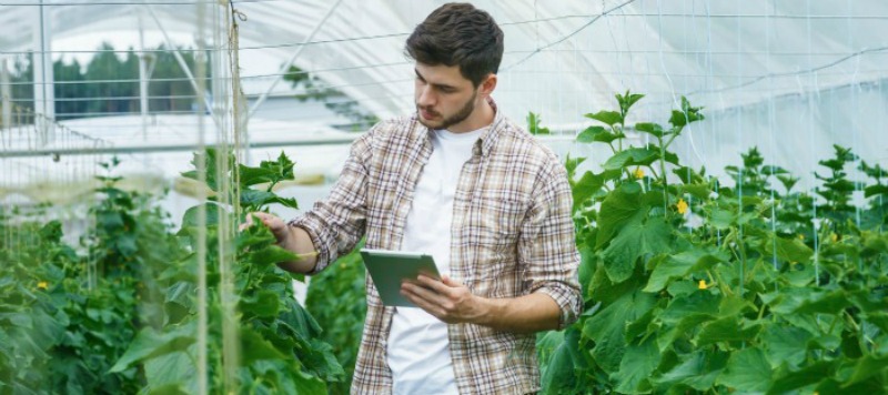 Jovens apostam cada vez mais no sector agrícola