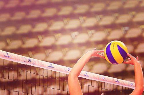 AVTM promove primeiro curso de treinadores de voleibol