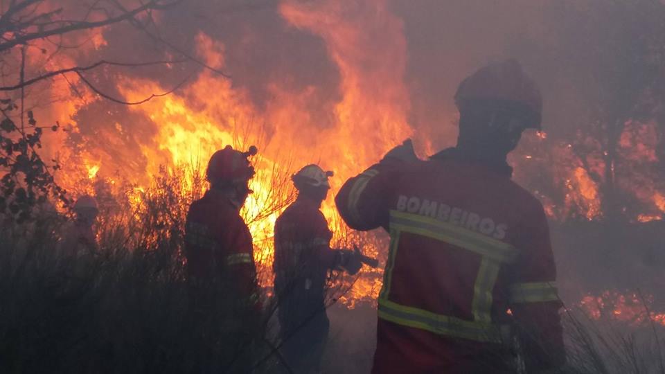 Bombeiros do distrito de Bragança reforçam combate a incêndio em Góis