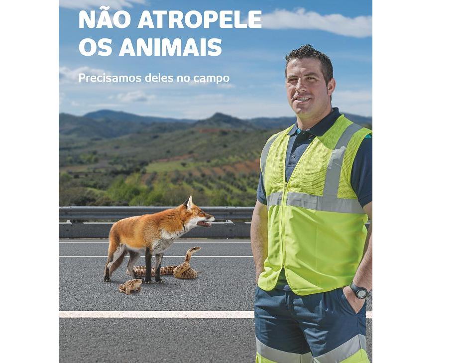 Ascendi lança campanha de sensibilização para a preservação da fauna autóctone transmontana