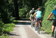 Diferença de custo entre ecopista e caminho-de-ferro no Tua seria de apenas 3,1 milhões de euros