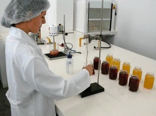 Politécnicos de Bragança, Leiria e Viana criam licenciatura pioneira com mobilidade em Engenharia Alimentar