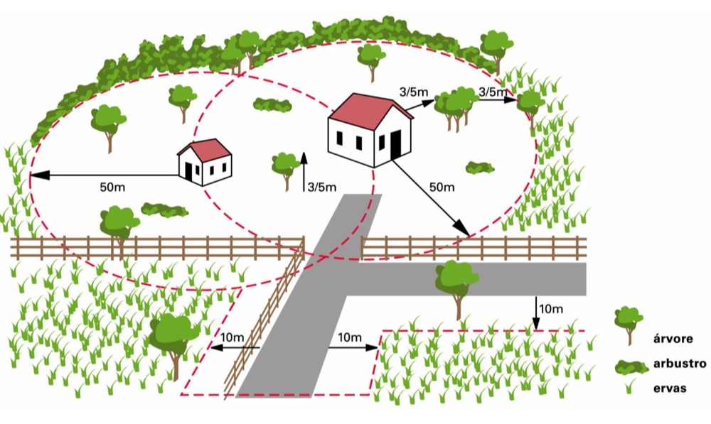 A falta de limpeza em terrenos florestais a 50 metros de casas dá uma multa que pode ir até 500 euros