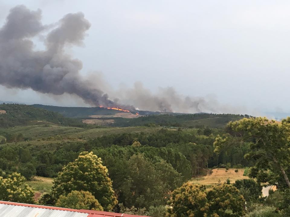 Incêndio foi combatido por mais de 100 bombeiros em Vale Armeiro, Vinhais