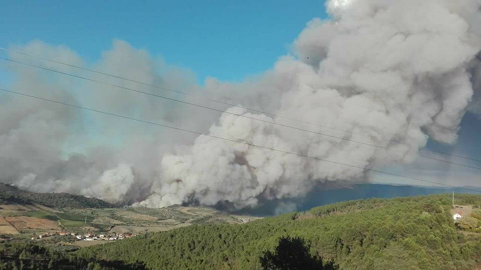 Reaberta a circulação no IC5 depois de o incêndio no concelho de Vila Flor ter sido dado como dominado