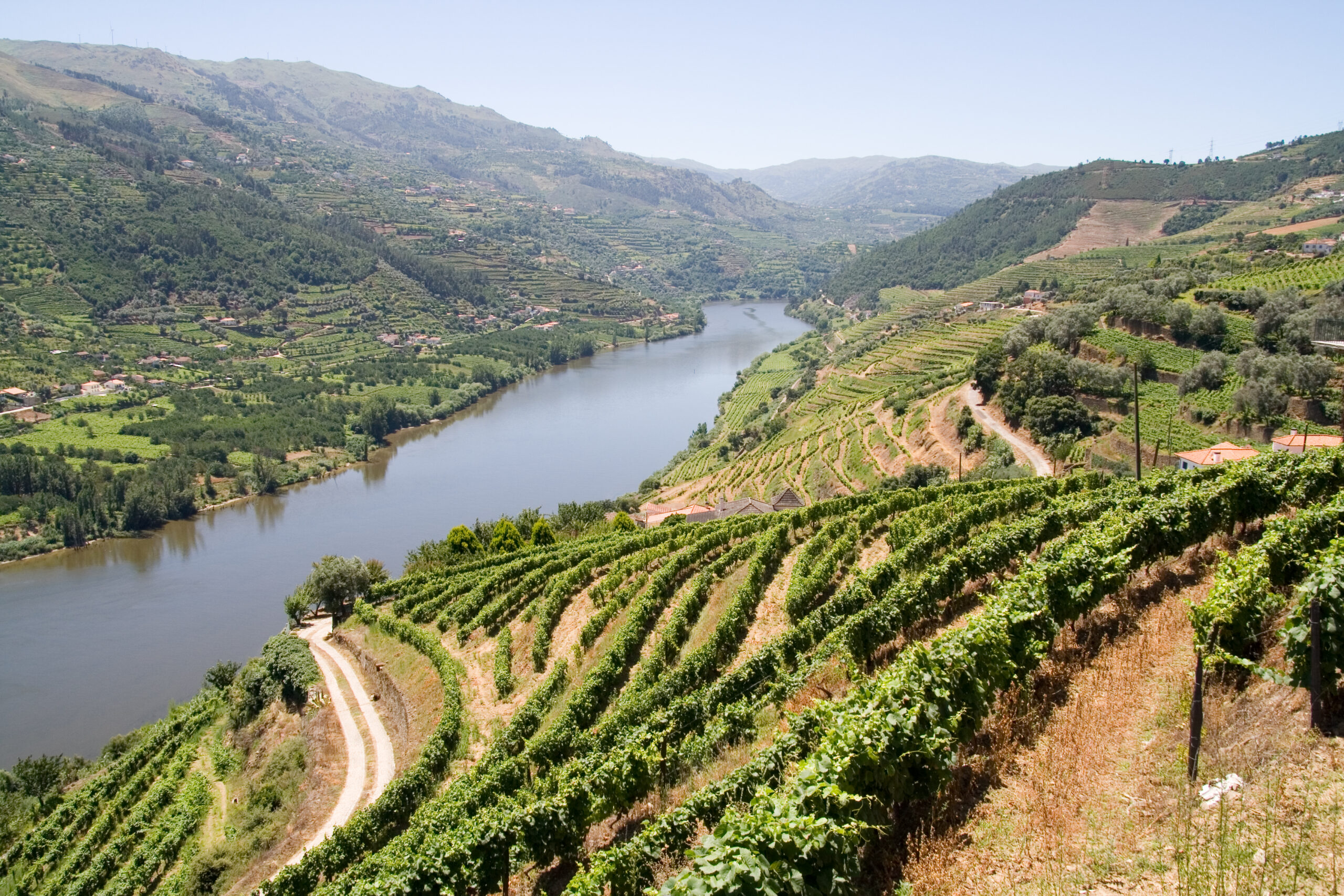 Alargamento e aprofundamento do Rio Douro foi adiado