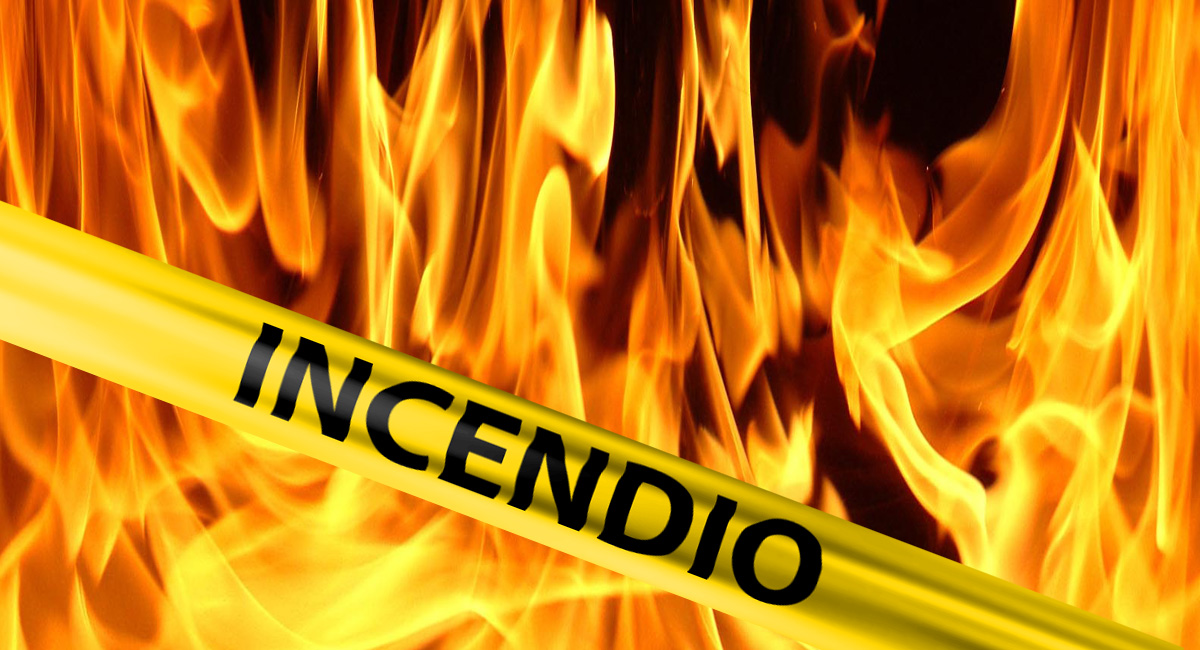 Incêndio em Moimenta no concelho de Vinhais
