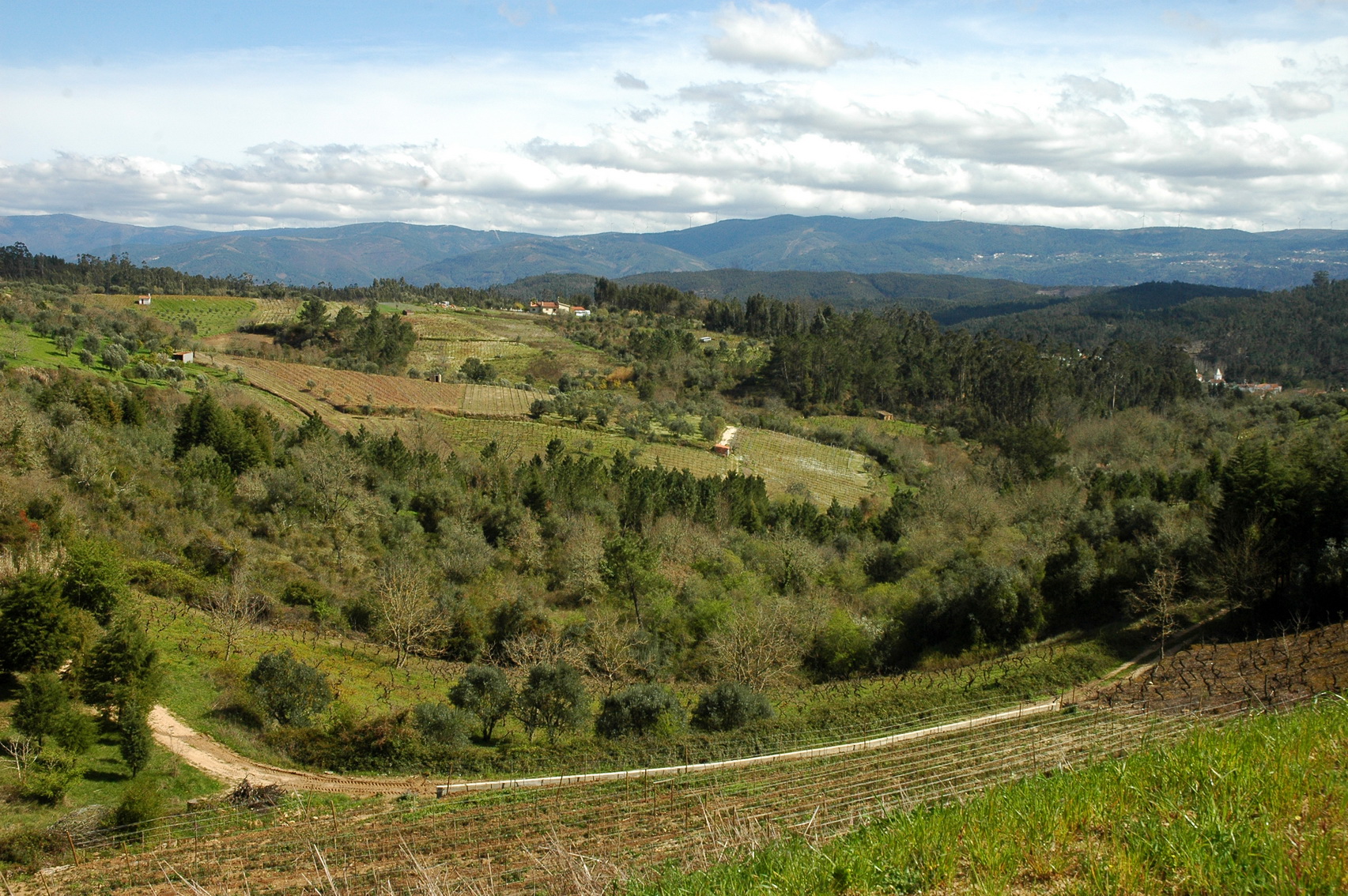 Ministério da agricultura garante a criação de mais redes de regadio em Trás-os-Montes