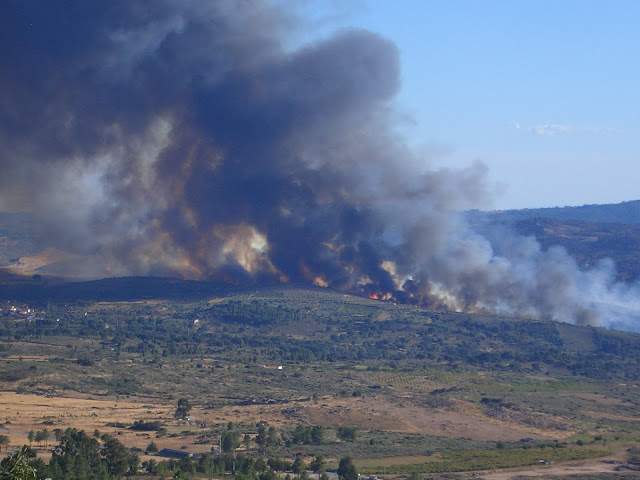 Proprietários de terrenos em Vale Frechoso fazem contas aos prejuízos causados pelos incêndios