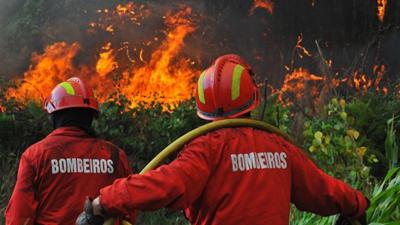 Mais de 100 bombeiros combatem incêndio em Chacim