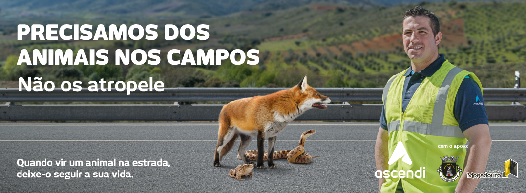 Campanha de prevenção da sinistralidade rodoviária contra animais teve acções em Mogadouro e Alfândega da Fé