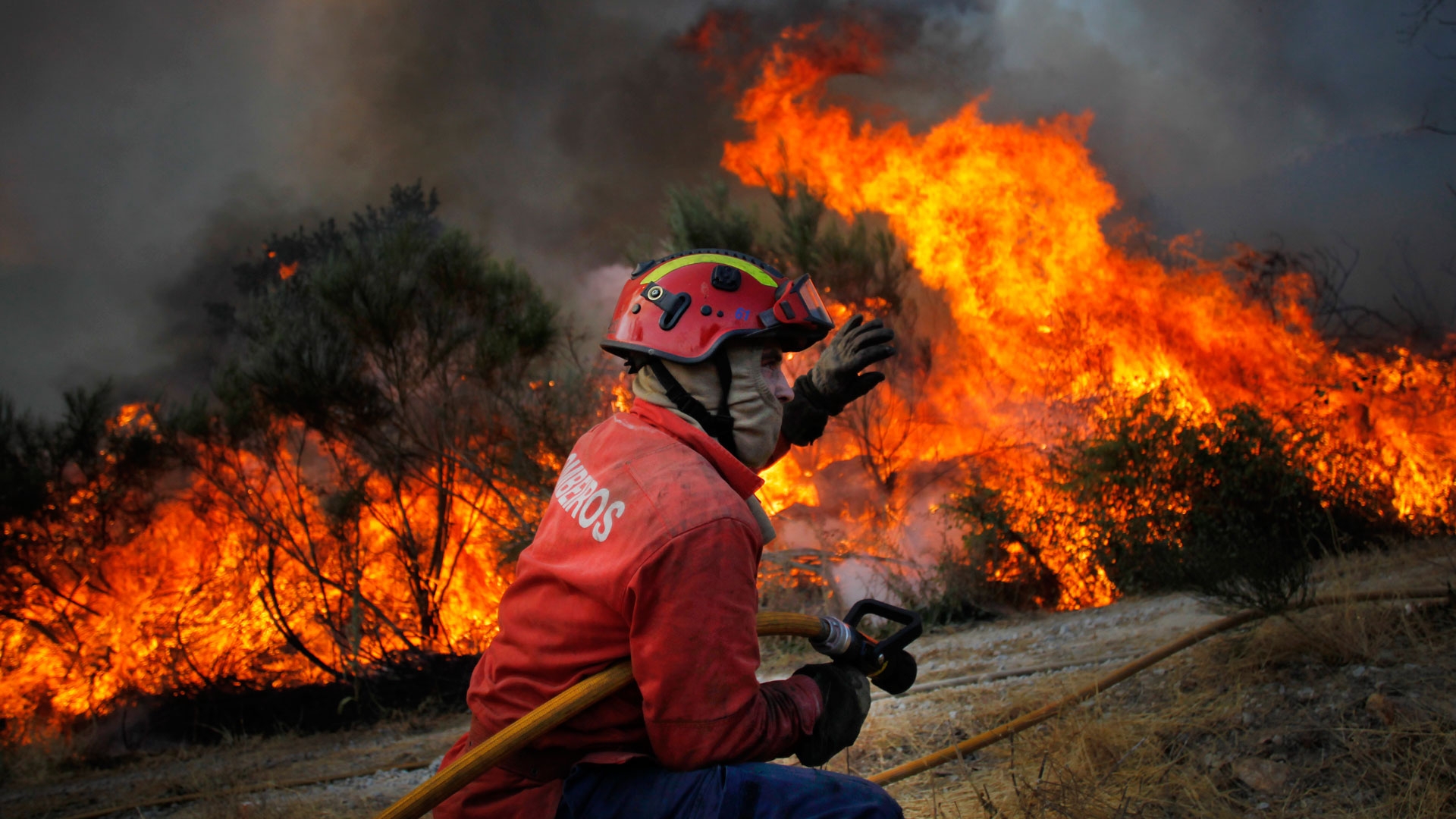 Incêndio arde com intensidade no concelho de Bragança
