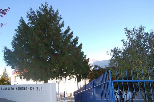 Greve encerra escolas no distrito de Bragança e afecta vários serviços