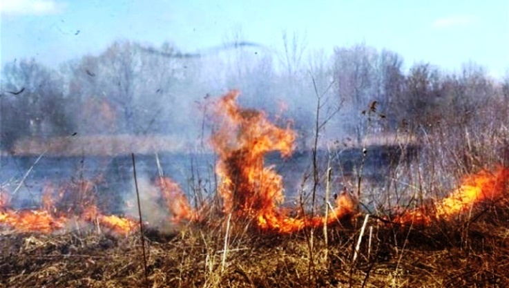 GNR de Bragança detém suspeitos por incêndio florestal