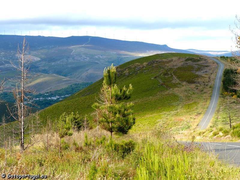 Há três vagas para vigilantes da natureza nos parques de Montesinho e Douro Internacional