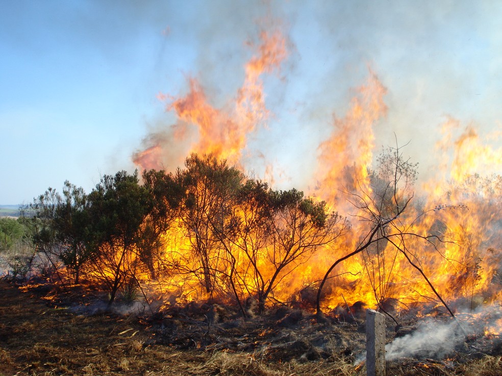 GNR deteve homem de 75 anos por incêndio florestal em Vila Flor