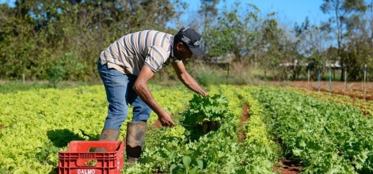 Novo estatuto para a Pequena Agricultura Familiar em vigor até Março de 2018