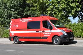 Homem de 80 anos morre ao cair de árvore em Bragança