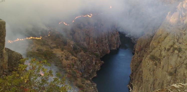 Miranda do Douro pede mais atenção do ICNF para as áreas ardidas do Parque do Douro Internacional