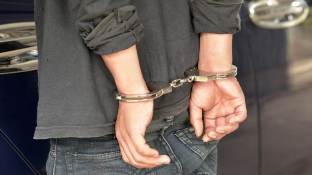 Jovens detidos em Mirandela por vários furtos