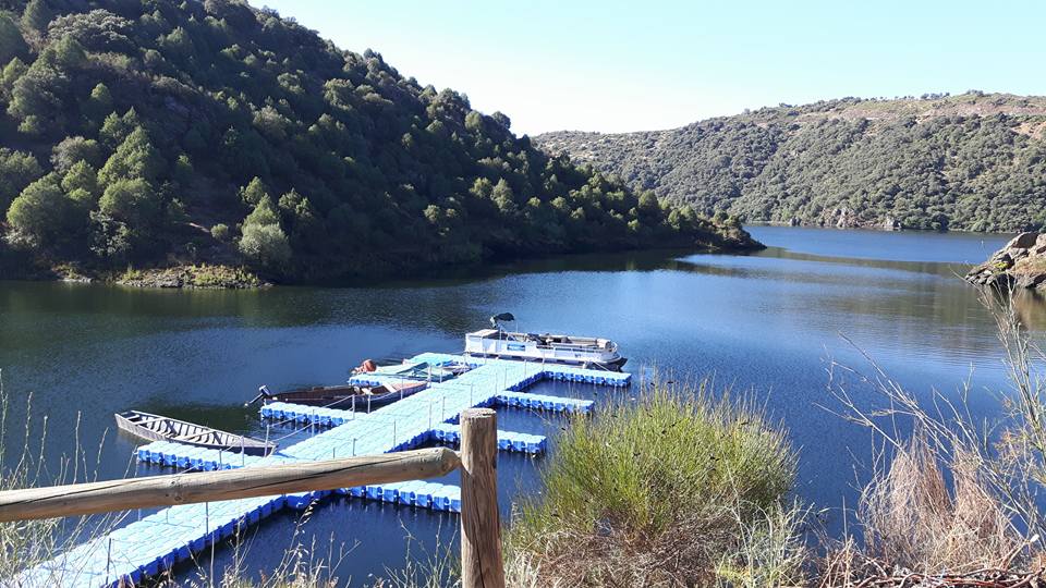 Extensão do VI Douro Film Festival em Alfândega da Fé