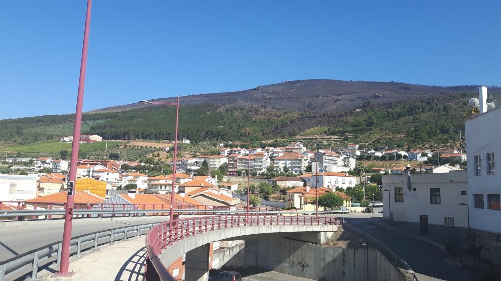 A reflorestação da Serra do Reboredo é uma das prioridades do município de Torre de Moncorvo, para 2018