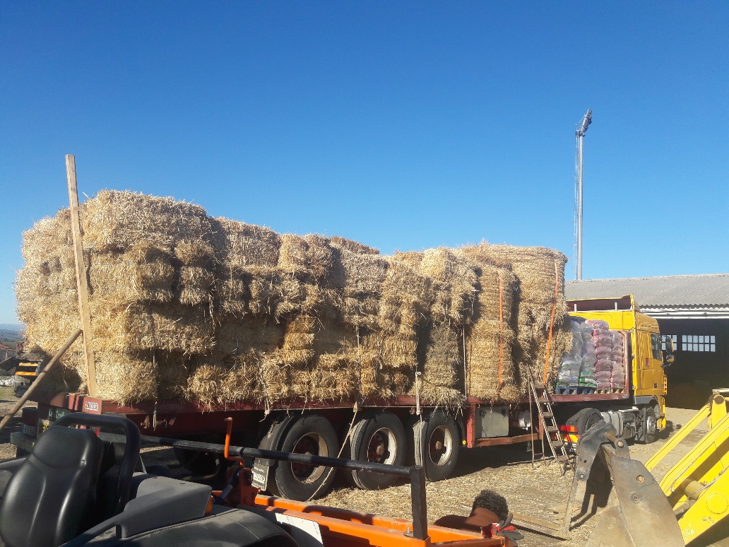 Vimioso entrega alimentos para animais de zonas afectadas pelos incêndios