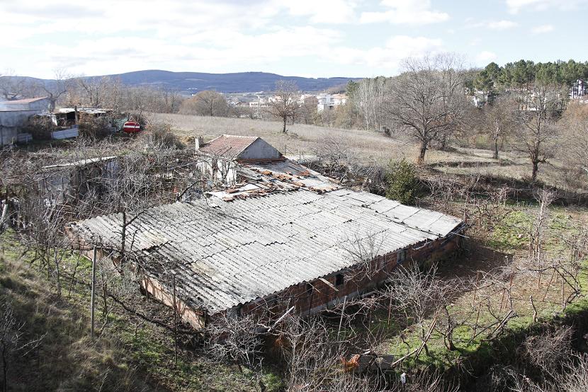 Animais mortos e roubados de quinta em Bragança