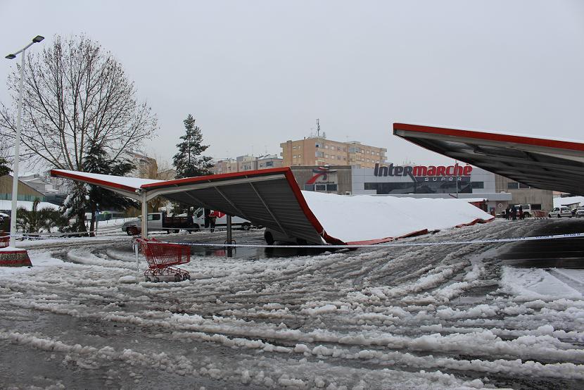 Várias árvores caíram por todo o distrito e coberturas de estacionamento desabaram devido à neve