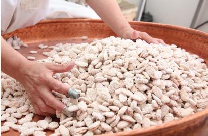Amêndoa Coberta de Torre de Moncorvo inscrita na lista de produtos europeus protegidos