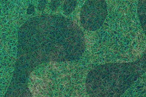 Bragança vai calcular pegada ecológica