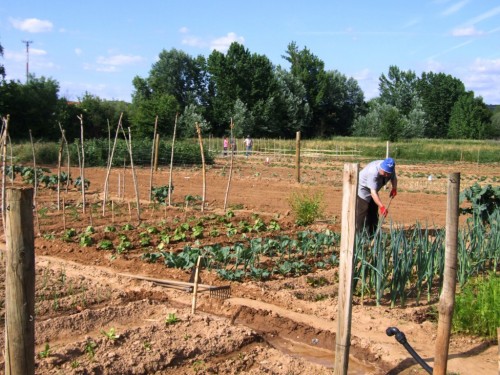 Agricultores de Vale de Madeiro (Mirandela) estão com a vida complicada porque não conseguem regar