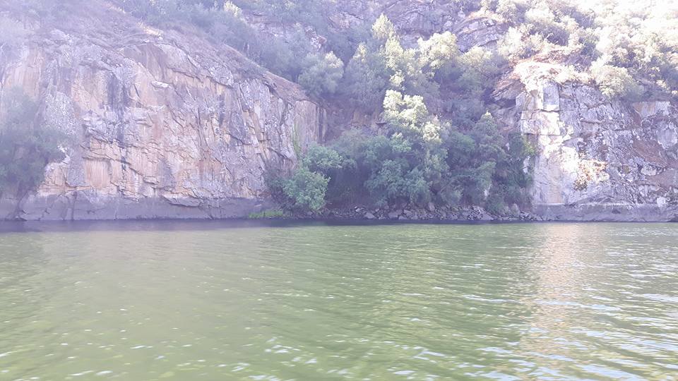 Um festival para celebrar a natureza e as tradições