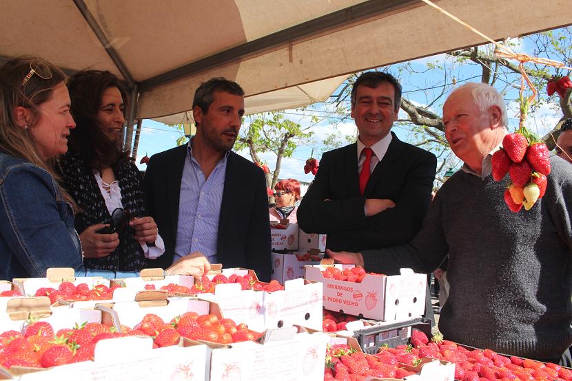 Feira do Vinho e do Morango atrai cada vez mais visitantes a São Pedro Velho
