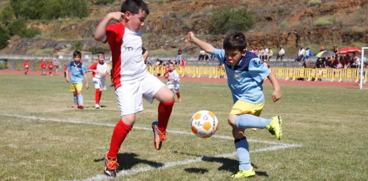 São esperadas mais de mil crianças na 18ª edição do Torneio Crescer Jogando