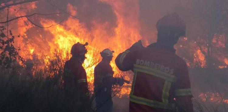 Incêndio em mato em Mazouco, Freixo de Espada à Cinta