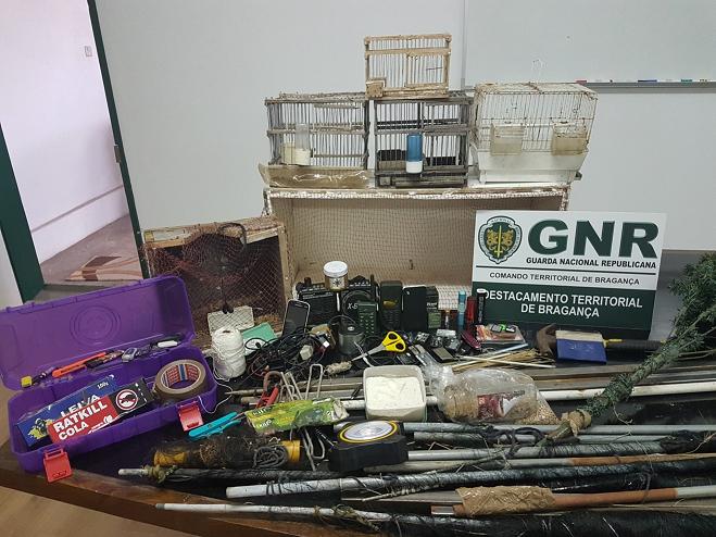 GNR deteve dois homens por captura ilegal de espécies protegidas em Macedo