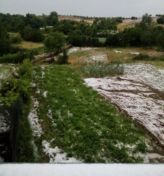 Mau tempo causa prejuízos na zona da Lombada, Bragança