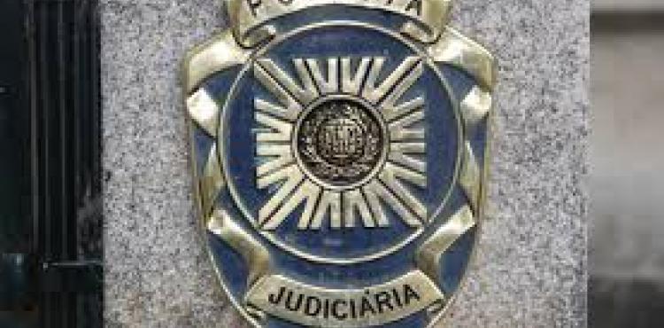 PJ deteve jornaleiro por incendiar terrenos agrícolas em Vinhais