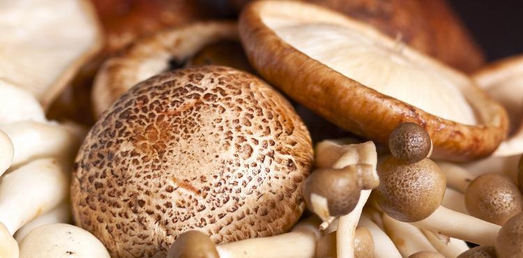 Sindicato preocupado com insolvência da Sousacamp