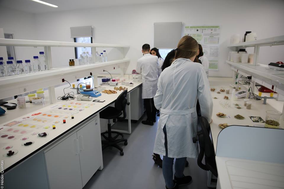 IPB entre as 50 melhores instituições do mundo na área científica de tecnologia alimentar