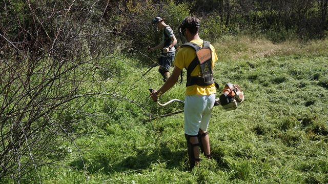 Voluntários belgas melhoram Parque Natural Montesinho
