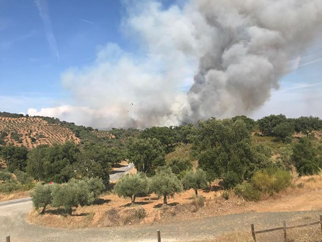 Estão 210 bombeiros a combater o fogo em Alfandega da Fé