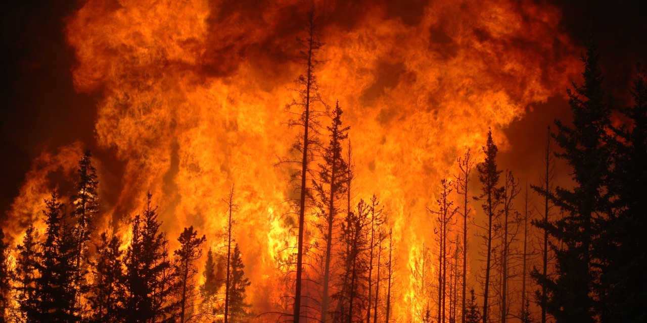 Quatro incêndios queimaram mato durante o fim-de-semana no distrito de Bragança