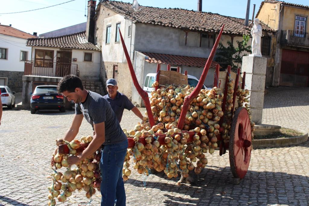 S. Pedro de Sarracenos acolhe a XVIII Feira das Cebolas