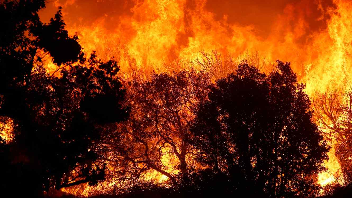 Incêndio em Alfândega da Fé foi dominado durante esta madrugada