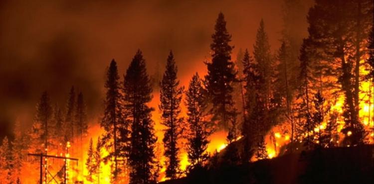 Incêndio em Mazouco, Freixo de Espada à Cinta combatido por mais de 100 meios
