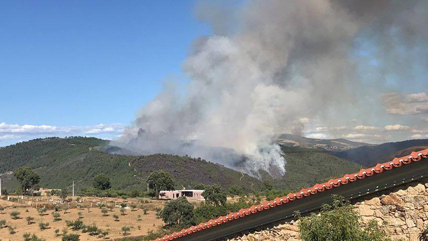 Incêndio em Agrochão combatido por mais de meia centena de bombeiros e três meios aéreos