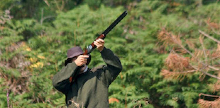 Confederação Nacional de Caçadores Portugueses contesta reforma à lei das armas